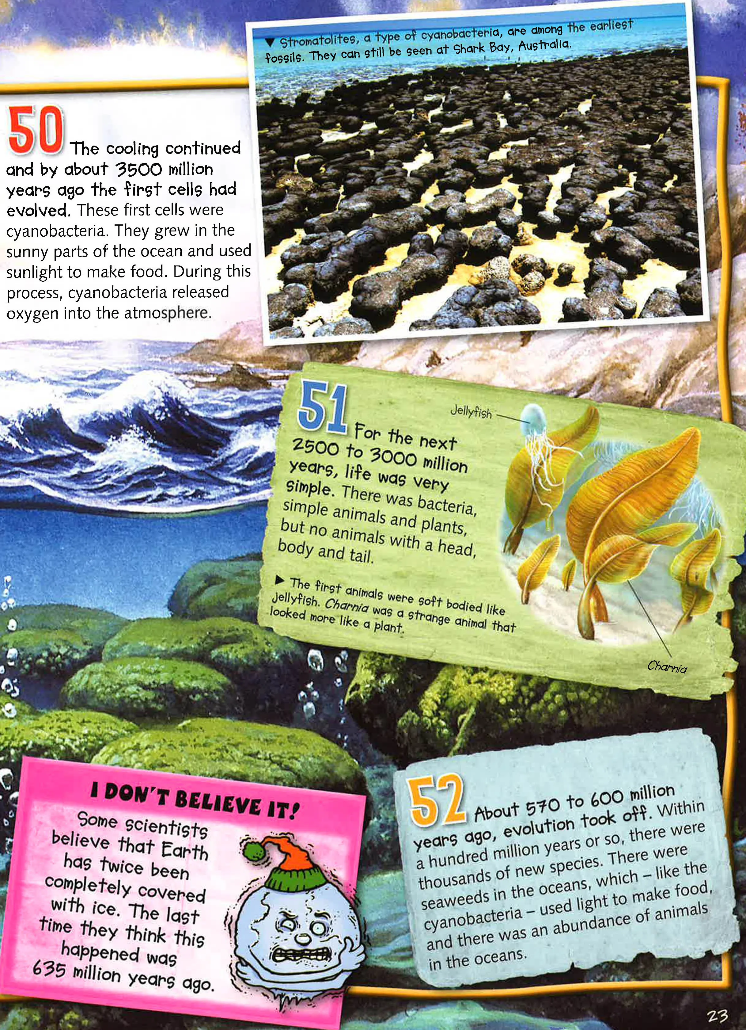 100 Facts Evolution