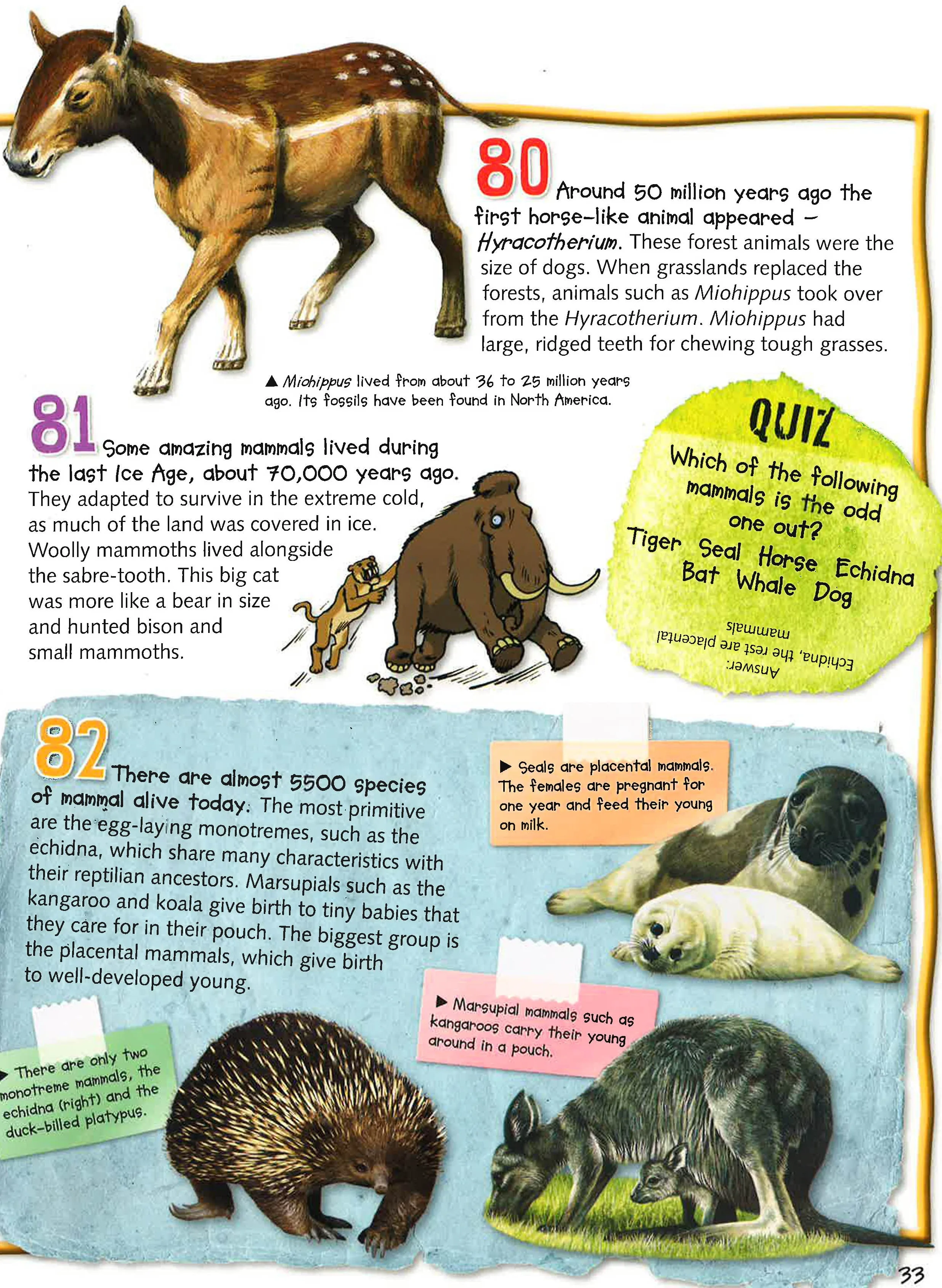 100 Facts Evolution