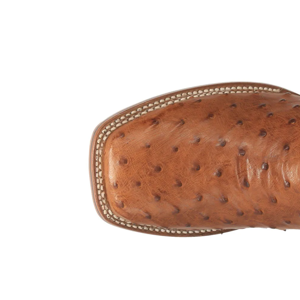 Alamosa Ostrich Square Toe Cowboy Boots
