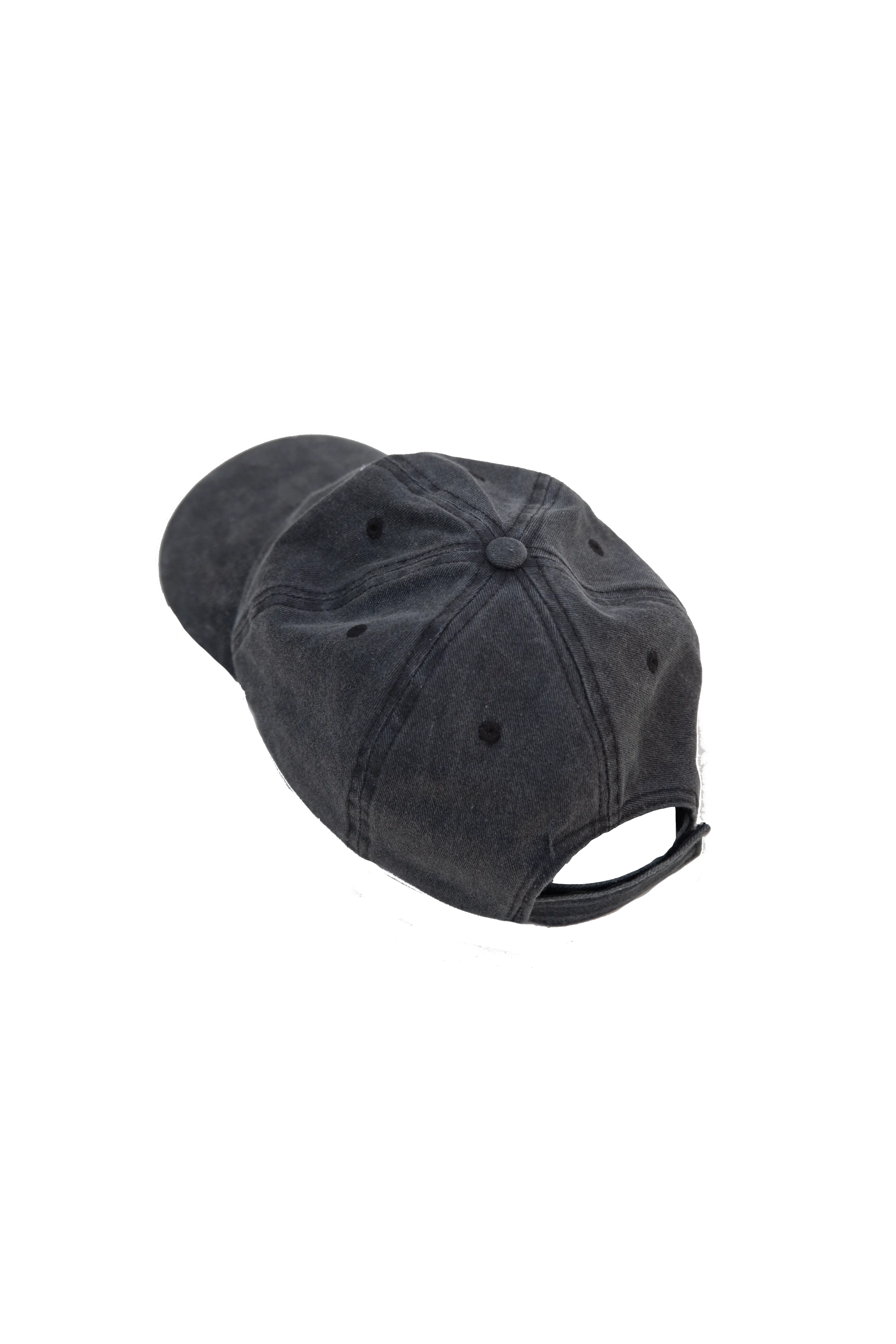 Logo Baseball Hat