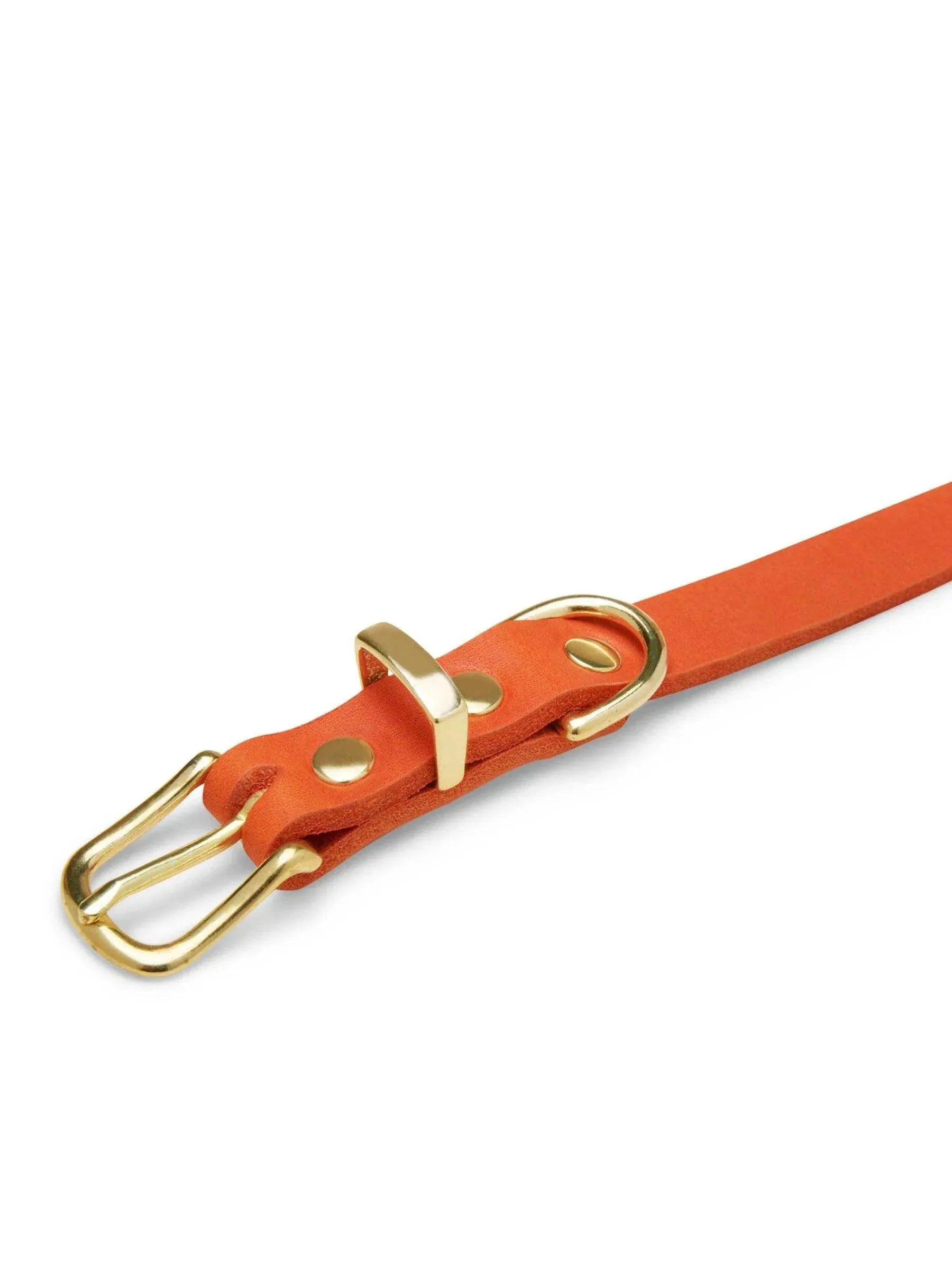 [MANGO] BUTTER LEATHER DOG COLLAR