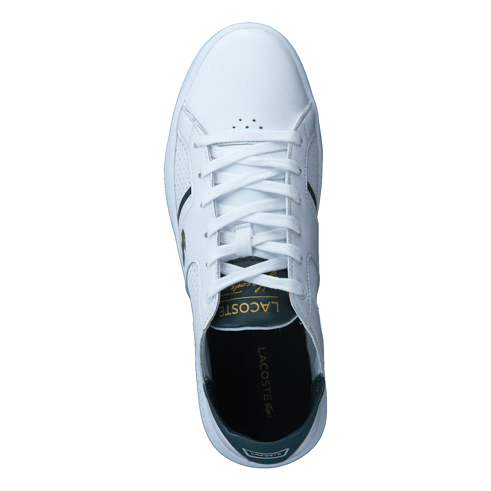 Novas Ct 118 1 Wht/dk Grn