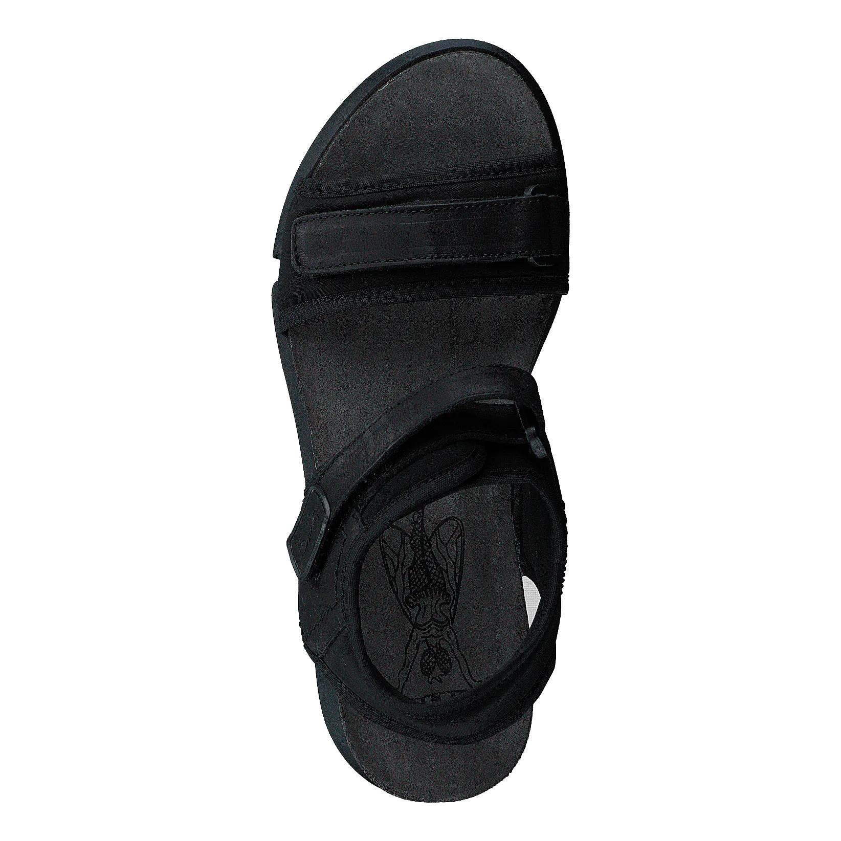 Sigo727fly Stretch/copido-black