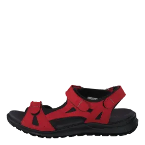 Siris Red